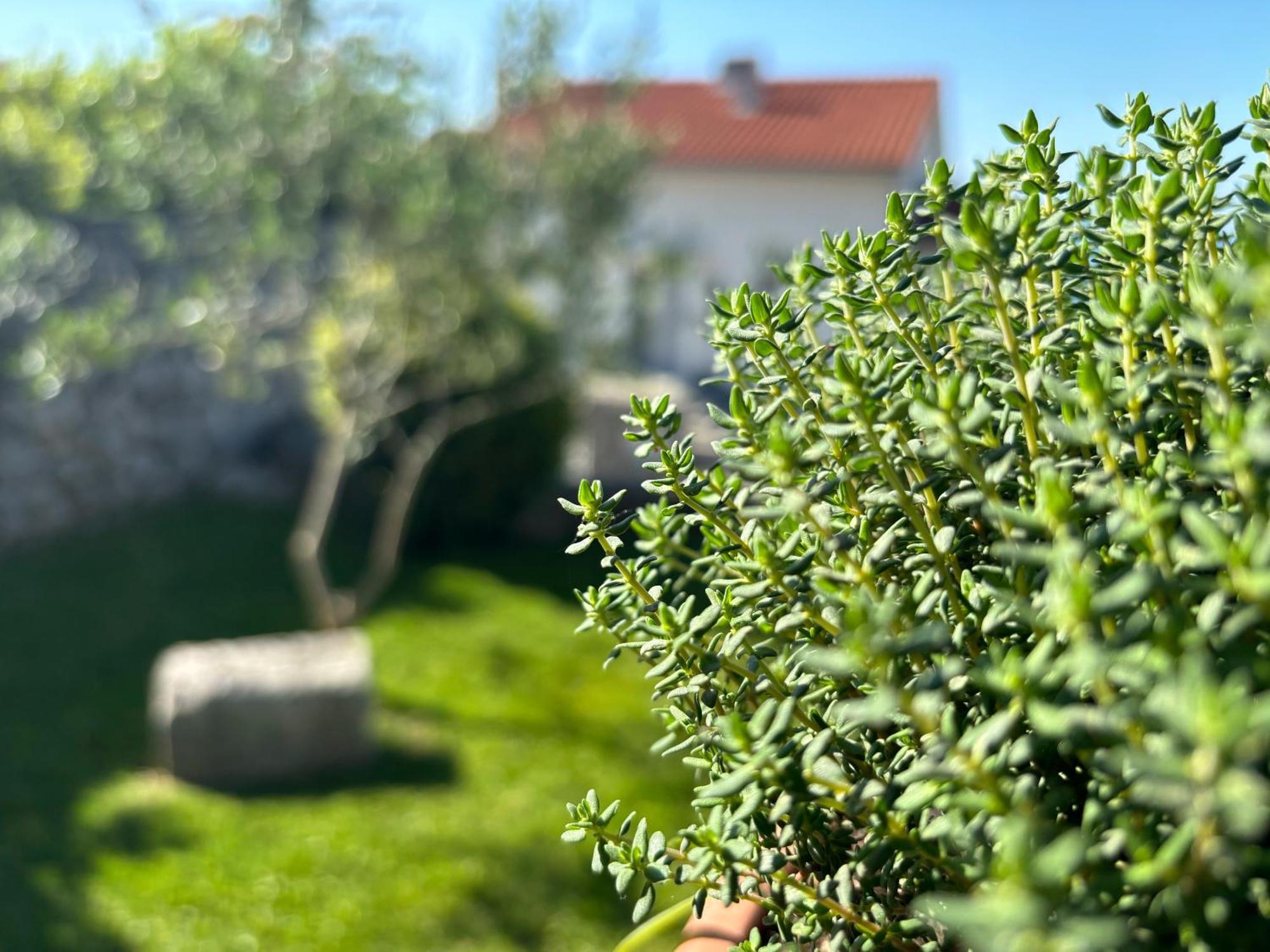 Va Kastav Apartment Bagian luar foto