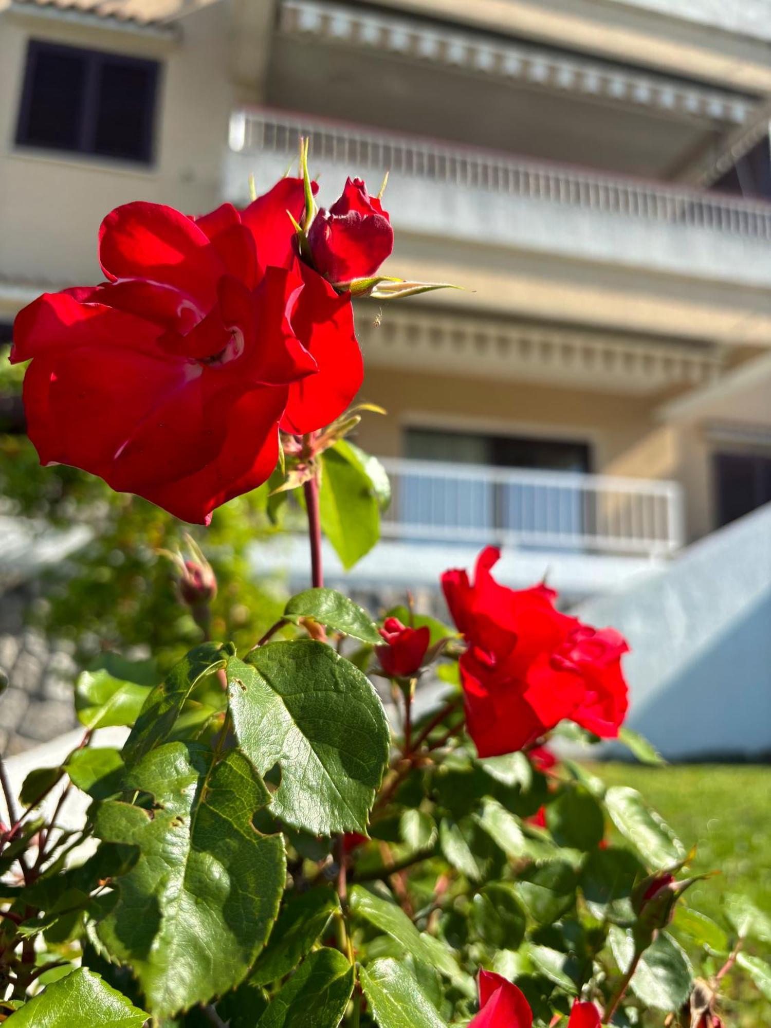Va Kastav Apartment Bagian luar foto