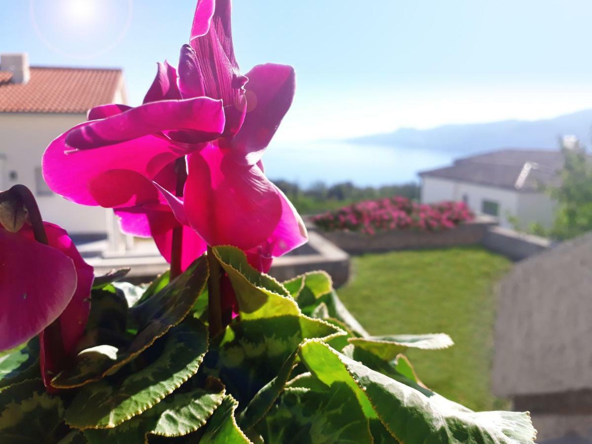 Va Kastav Apartment Bagian luar foto