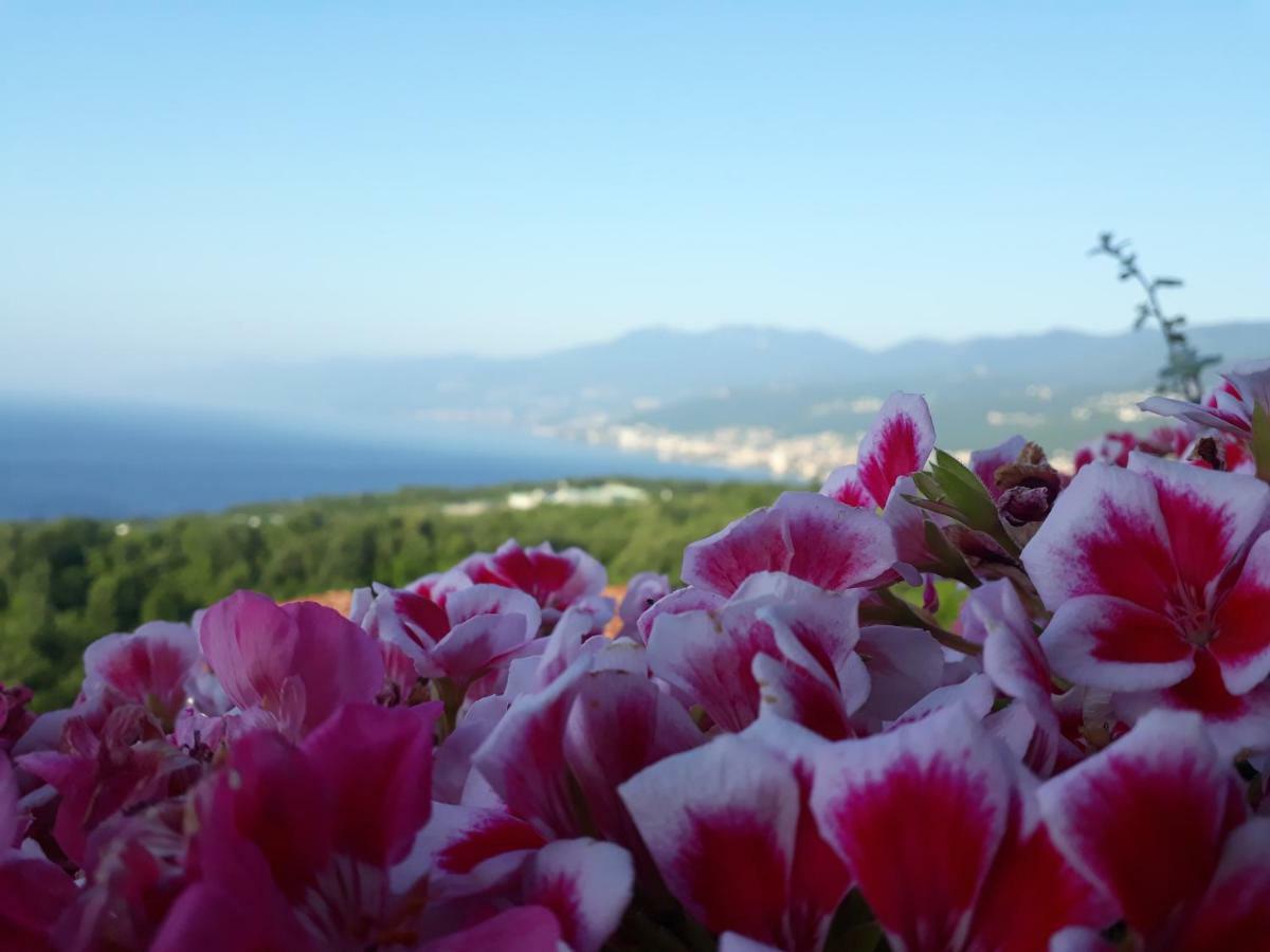 Va Kastav Apartment Bagian luar foto